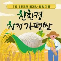 청정 가평쌀 이미지