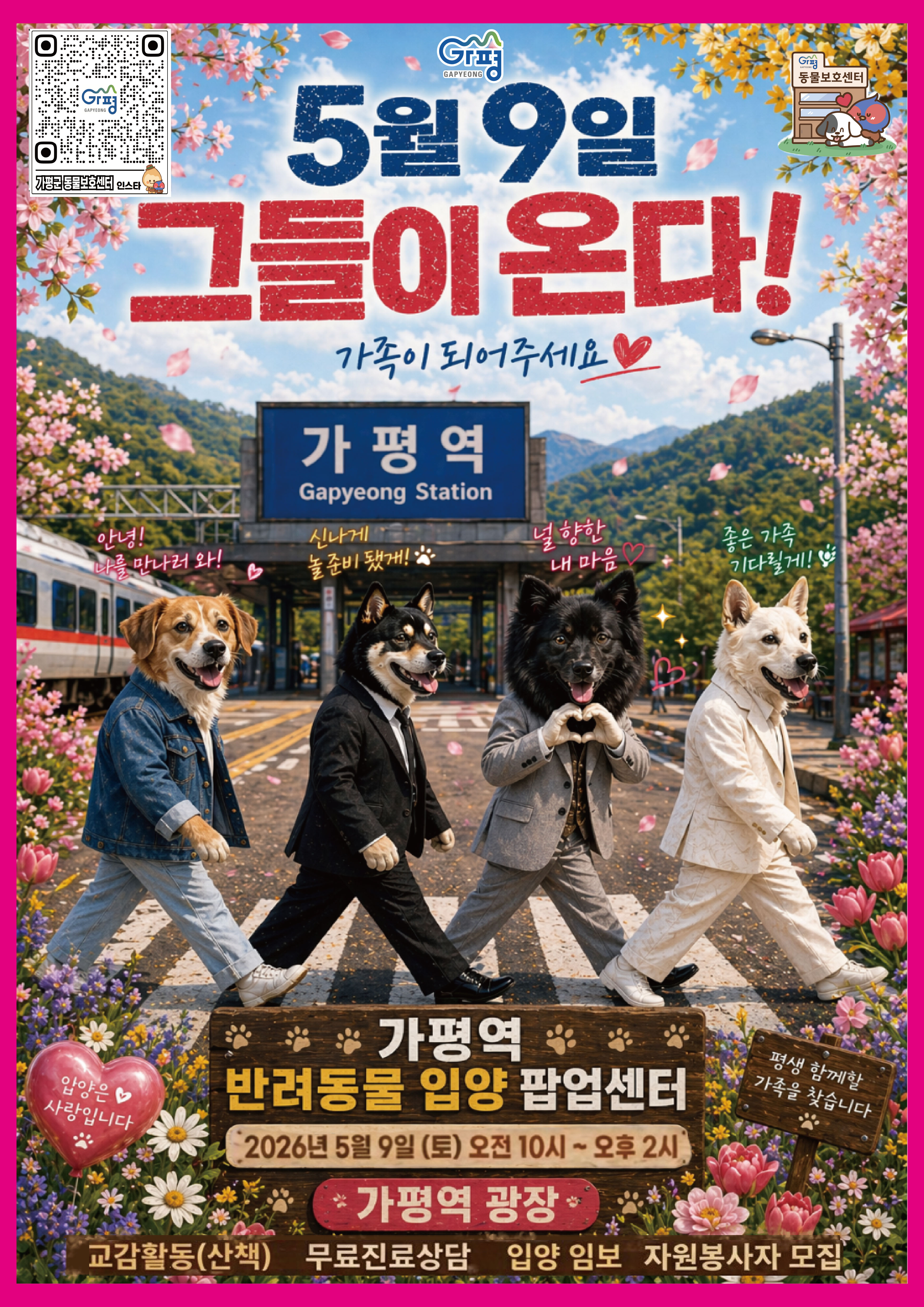 2026년 가평역 반려동물 입양팝업센터0